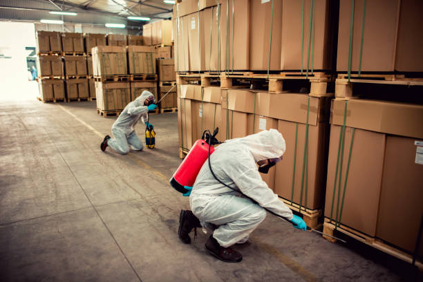 Best Cockroach Control Services  in Pittston, PA