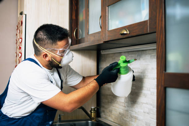 Best Pest Inspection Near Me  in Pittston, PA