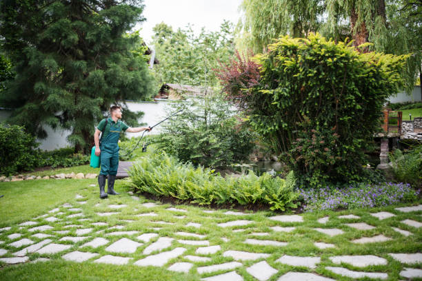 Best Best Pest Control Companies  in Pittston, PA