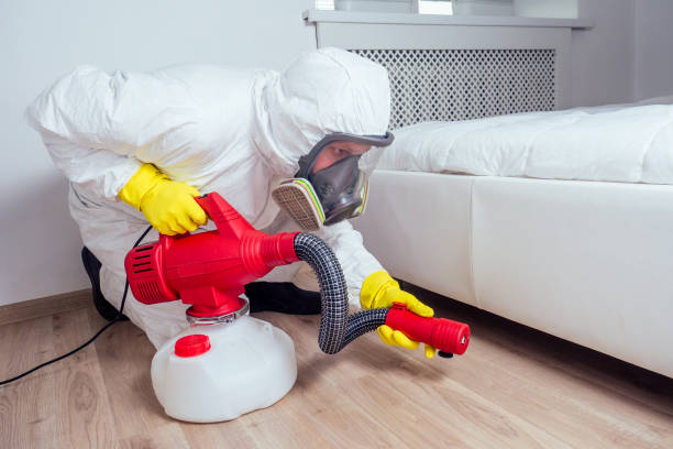 Best Affordable Pest Control Services  in Pittston, PA